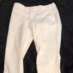 Banana Republic Hampton Pant Size 2